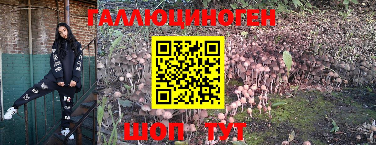 Псилоцибиновые грибы Magic Shrooms Владикавказ