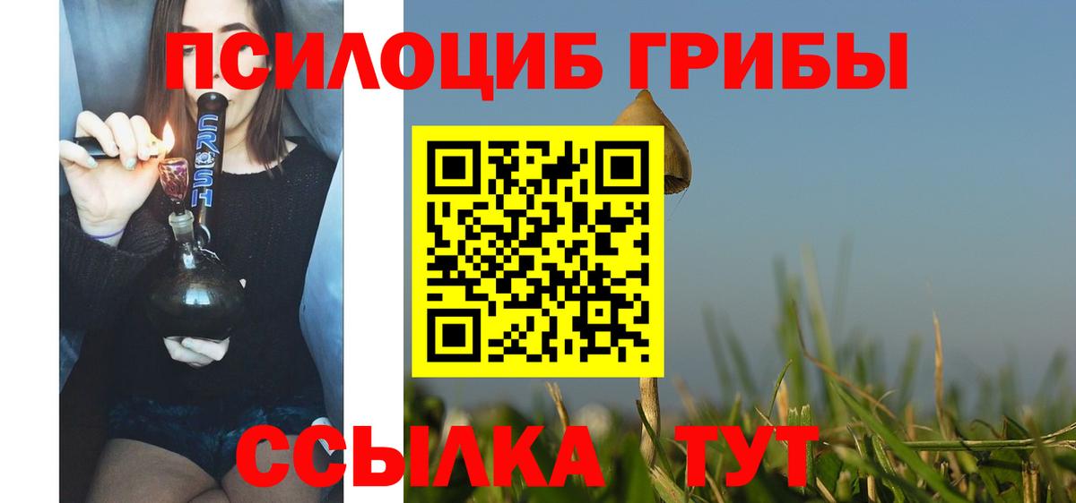 Галлюциногенные грибы Cubensis  Псилоцибиновые грибы мухоморы  Владикавказ  Вход с VPN 